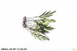 Bolbitis_Heudelotii_African Water Fern_aquarium_plant_for_sale