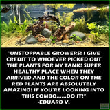 D_sStandardAquariumPlantComboPlantPack_EduardV.