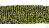 Dwarf Sag Potted_Sagittaria Subulata_Easiest Foreground Plant_Aquarium plant for sale_aquarium plants for sale