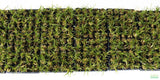 Dwarf Sag Potted_Sagittaria Subulata_Easiest Foreground Plant_Aquarium plant for sale_aquarium plants for sale