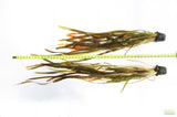Giant Jungle Val_Vallisneria Americana_Boss Of Planted Tanks_Aquarium Plant For Sale