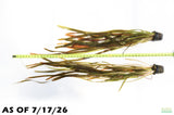 Giant Jungle Val_Vallisneria Americana_Boss Of Planted Tanks_Aquarium Plant For Sale