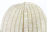 MADAGASCAR LACE PLANT (APONOGETON MADAGASCARIENSIS)_Aquarium Plant For Sale_Aquarium Plants