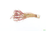 Rotala Mexicana_Aquarium plant for sale