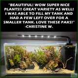 SexyRedAquariumPackage_PlantCombo_ChristineW