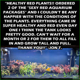SexyRedAquariumPackage_PlantCombo_JonT