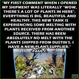 SexyRedAquariumPackage_PlantCombo_PaulC