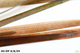 Vallisneria Spiralis Leopard_Easy Background Aquarium Plant For Sale