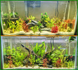 "Great Liquid Fertilizer! I have been using Dustin's Growth Juice along with Dustin's Iron for about a month in my 30 gallon tank. I can't believe how well the plants in my tank are thriving. Very safe for shrimp as well I have 3 Cherry Shrimps in my tank and have not seen any adverse effects. Will definitely be purchasing more Dustin's Growth Juice once I get close to running out." -John T. 