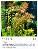 Standard Double LED - "The Standard in Planted Aquarium Lighting" BF25