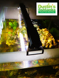 Standard Double over my Daughters Aquarium-  Great lighting for plants 