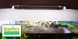 Standard Double LED - "The Standard in Planted Aquarium Lighting" BF25