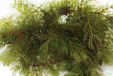 Can't Kill it Planted Combo (4 Plants For $24.95)