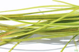 Vallisneria Nana_Aquarium Plant For Sale