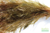 Myriophyllum matogrossense (Dark and Fluffy)