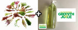 Our Best Selling “Beautiful Plants" Combo Get 4 plants for ONLY $24.95