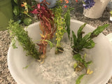 Our Best Selling “Beautiful Plants" Combo Get 4 plants for ONLY $24.95
